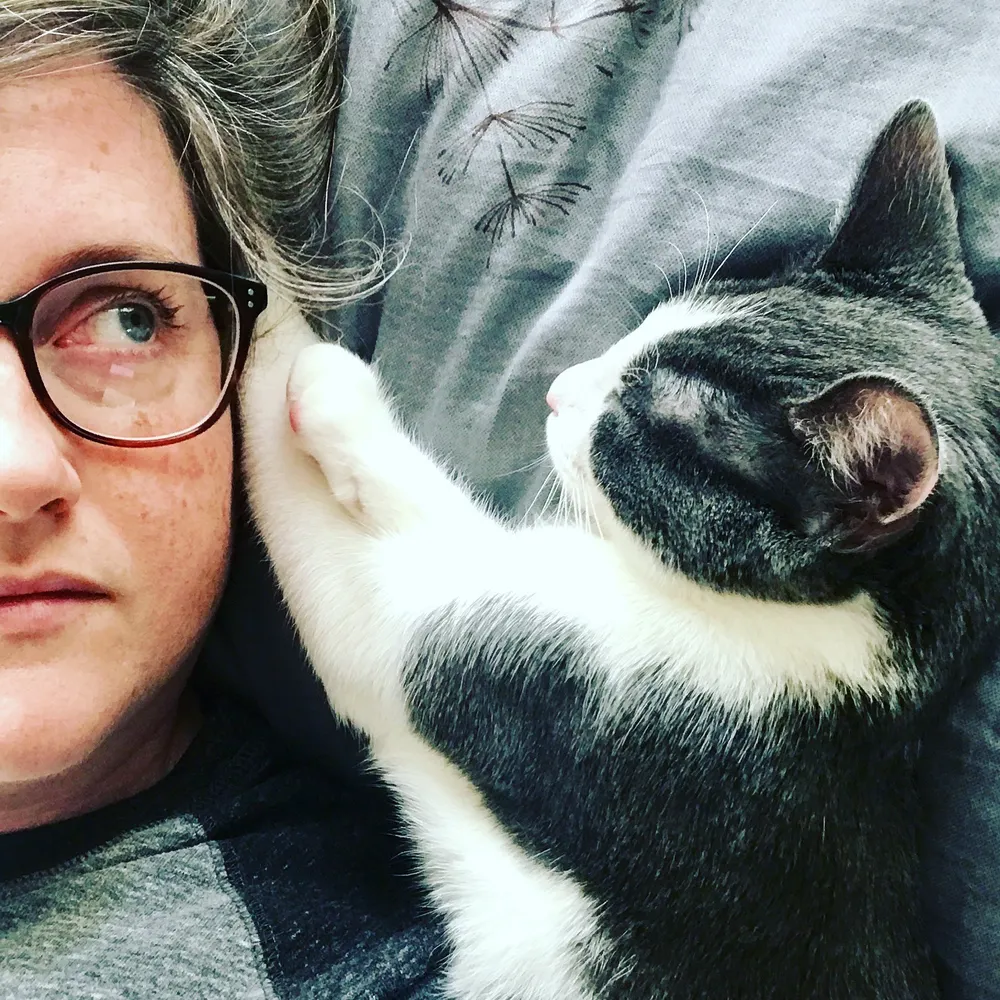 vwyeth.bsky.social's profile picture