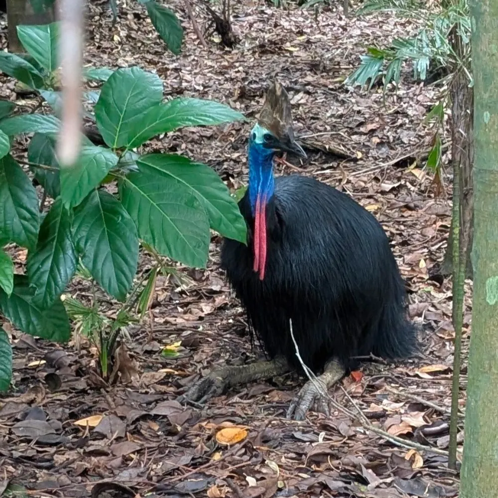 inquisitivetoo.bsky.social's profile picture