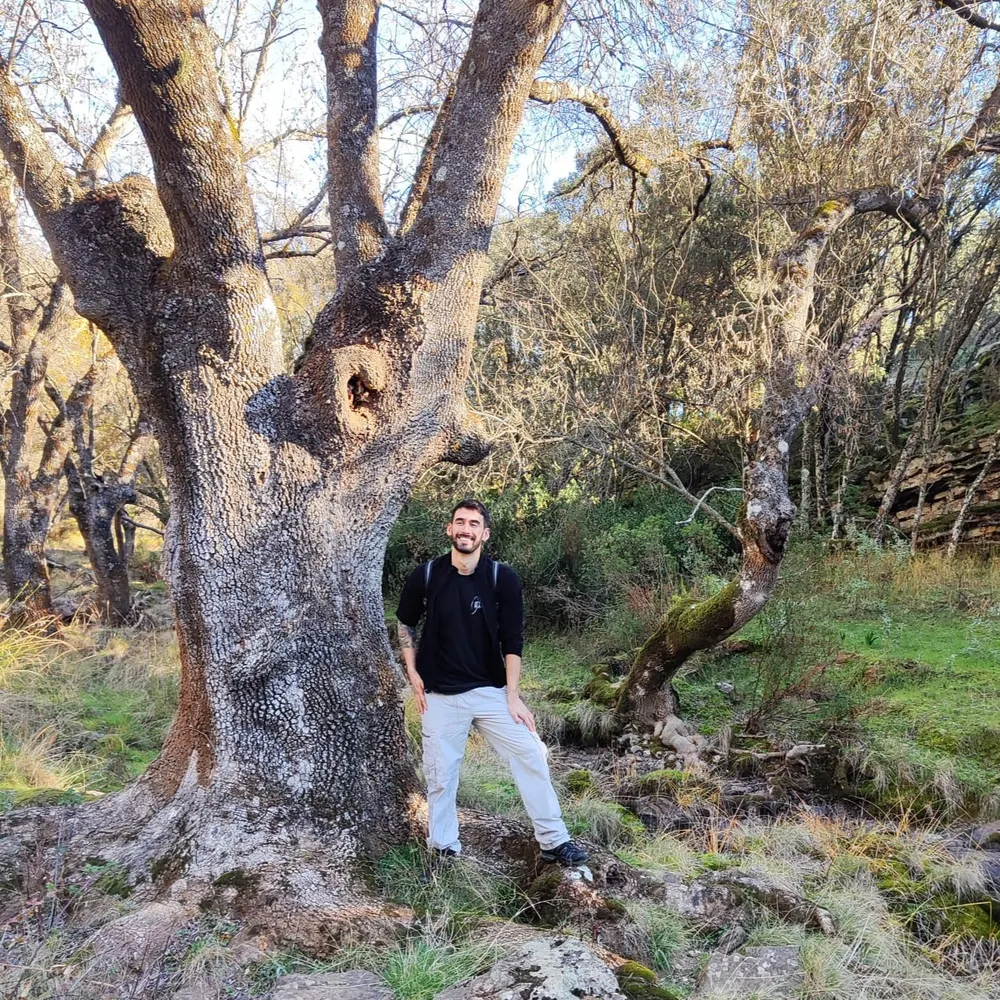 davsamsin.bsky.social's profile picture