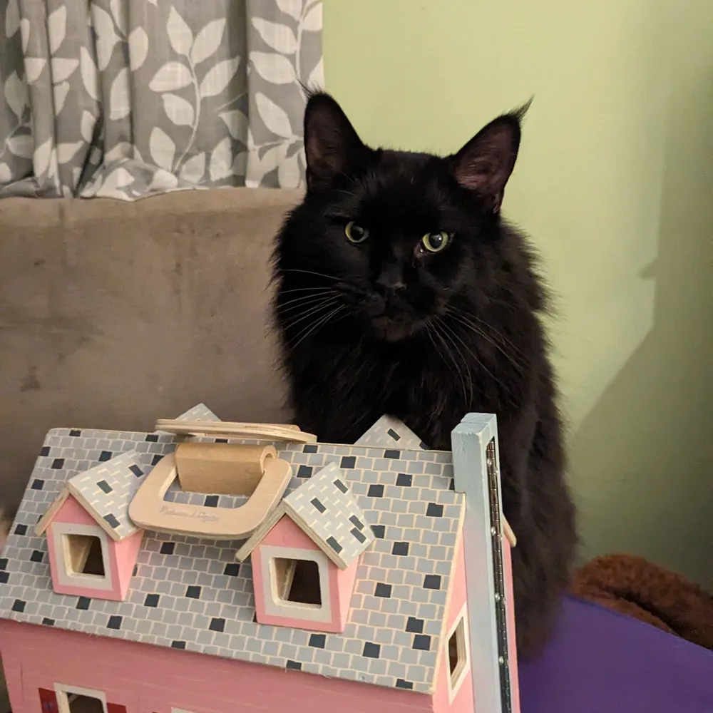 jmange.bsky.social's profile picture