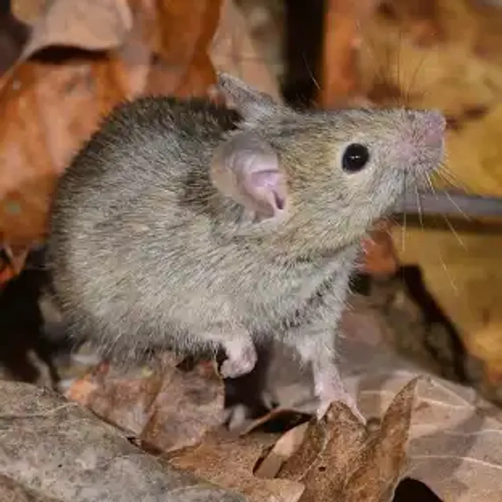 ccompy.bsky.social's profile picture