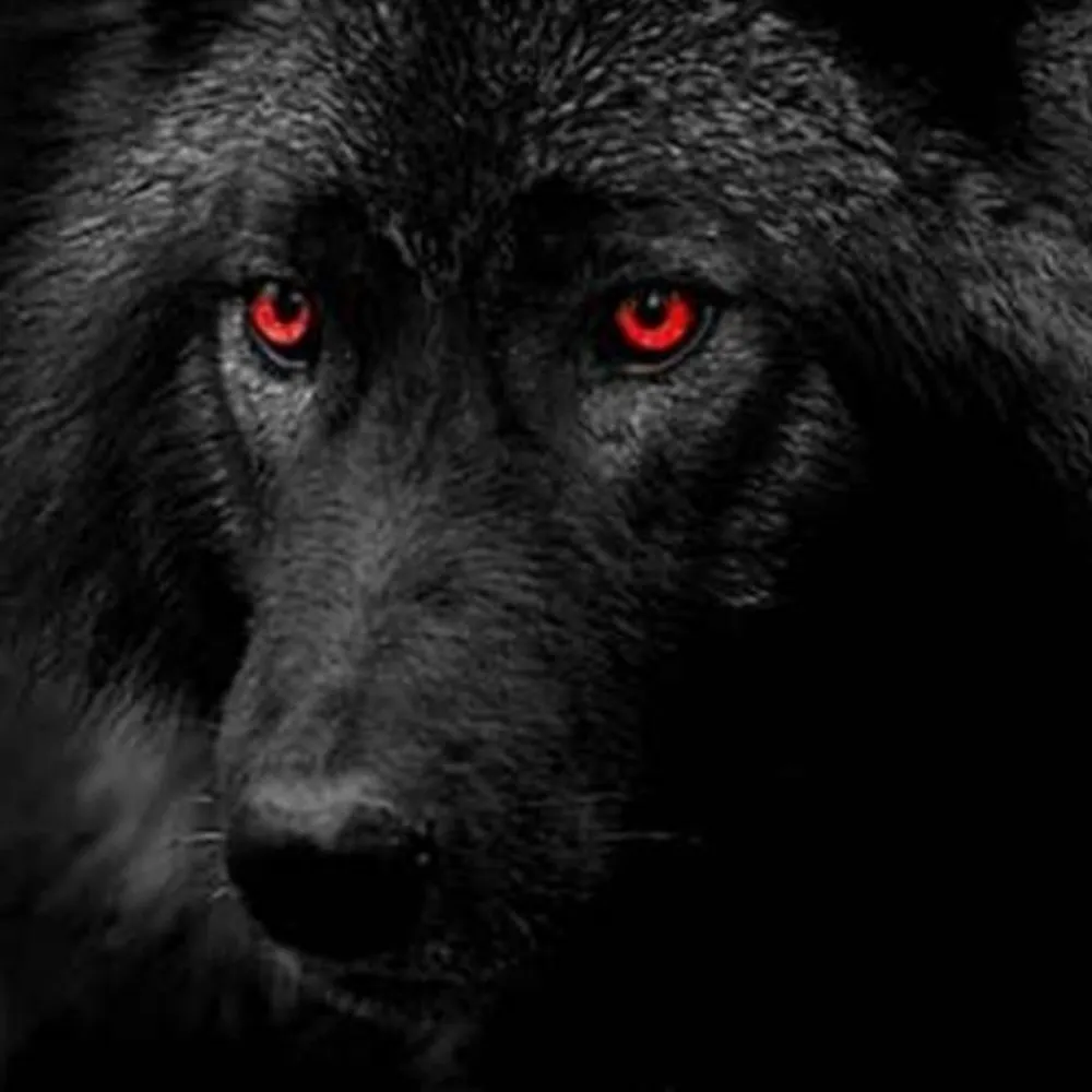 jinnrikki.bsky.social's profile picture