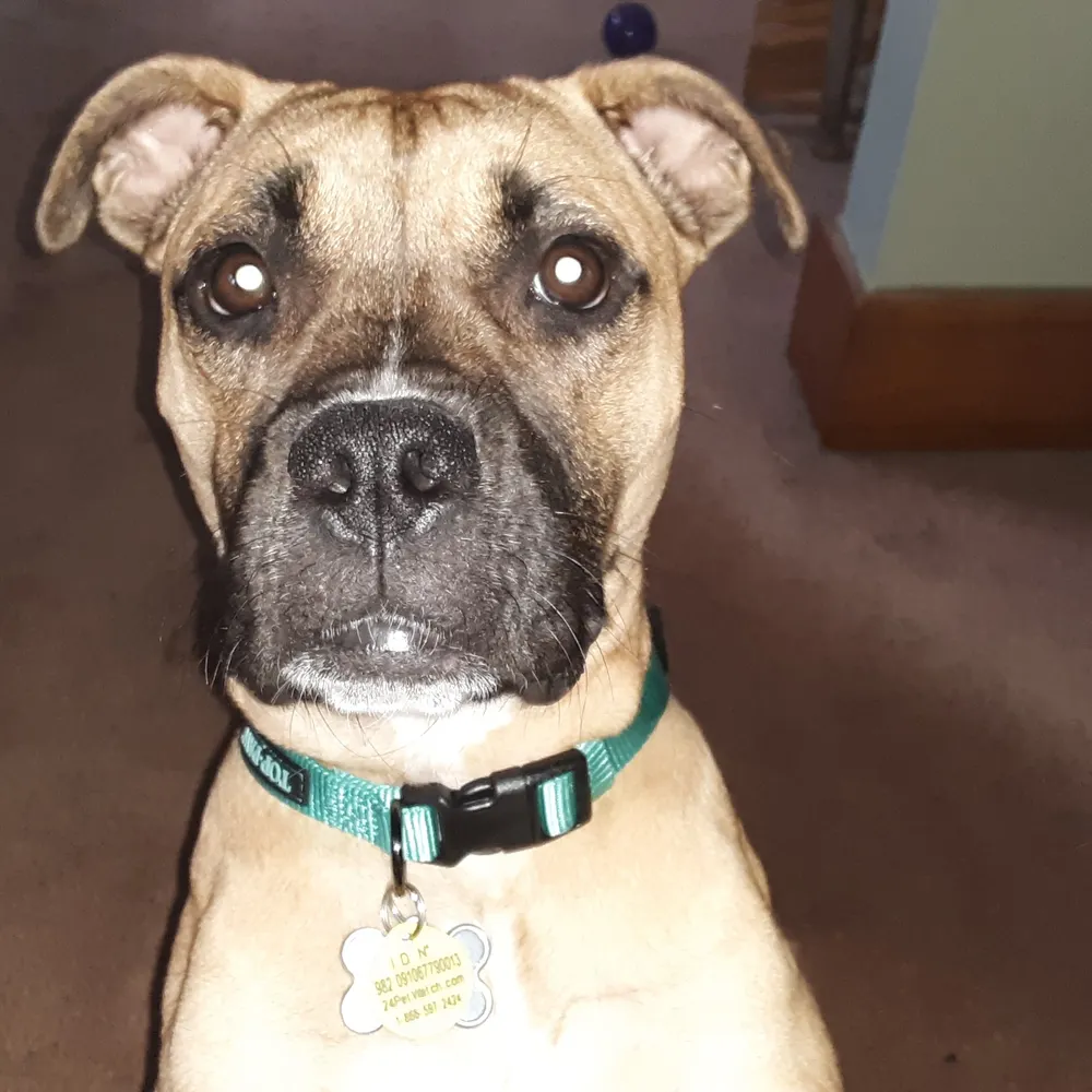 tonawandablue.bsky.social's profile picture