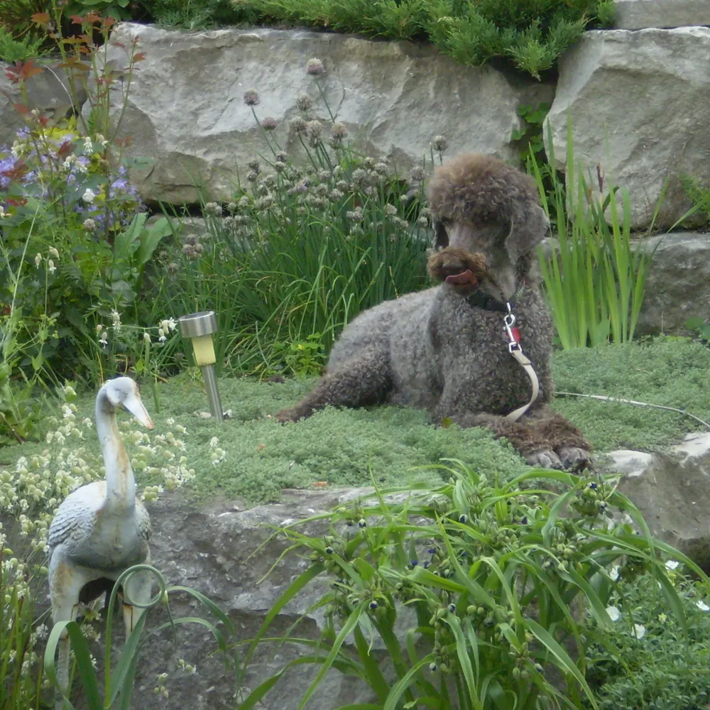 seedyem.bsky.social's profile picture