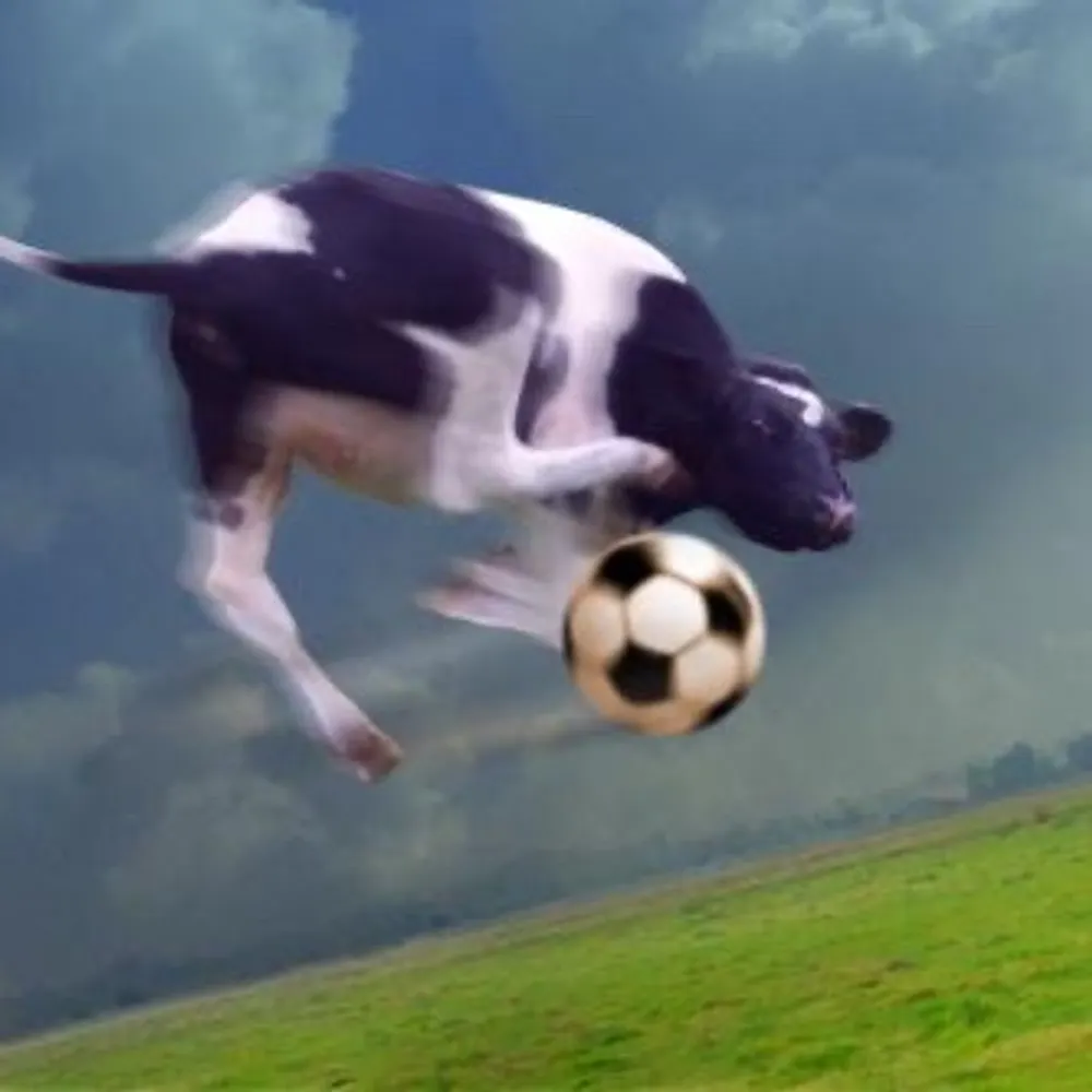 dnsoccercow.bsky.social's profile picture