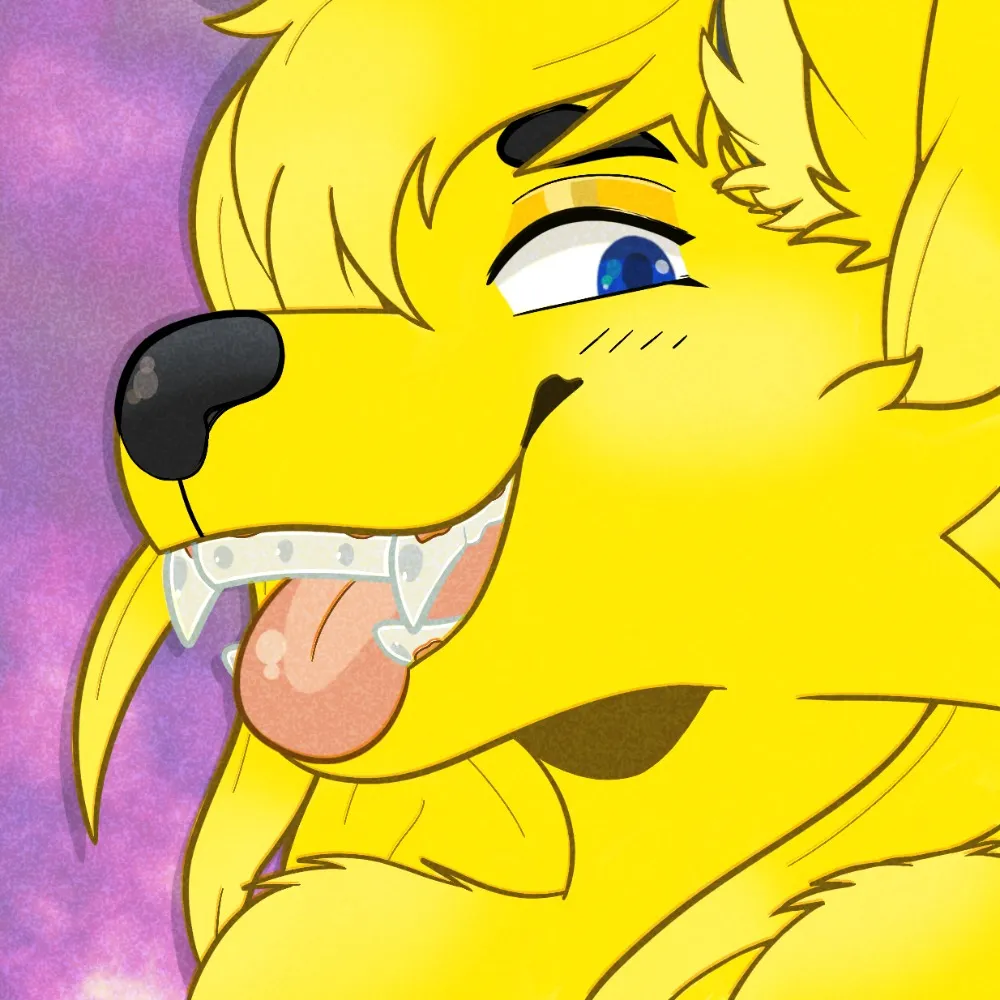 indrora.bsky.social's profile picture