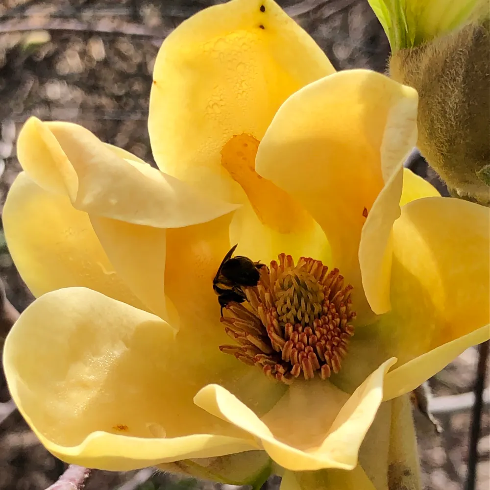 erflx.bsky.social's profile picture