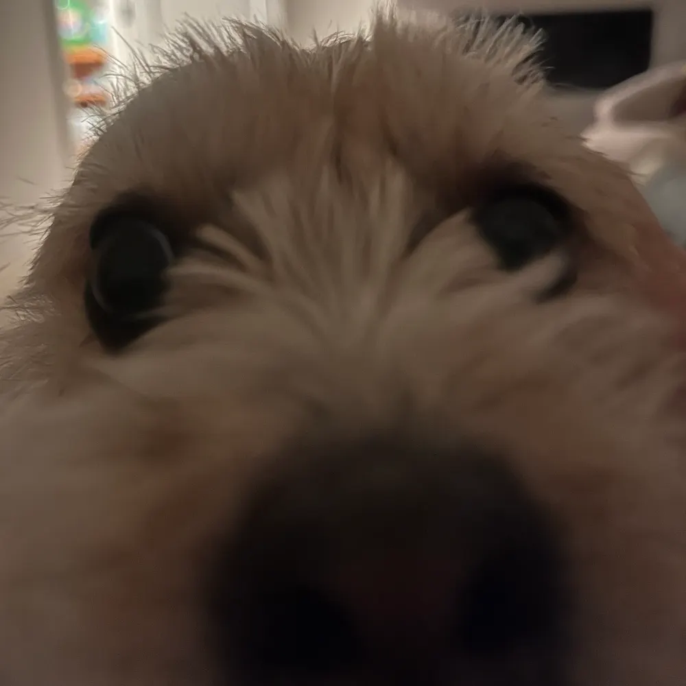 bethlpdx.bsky.social's profile picture