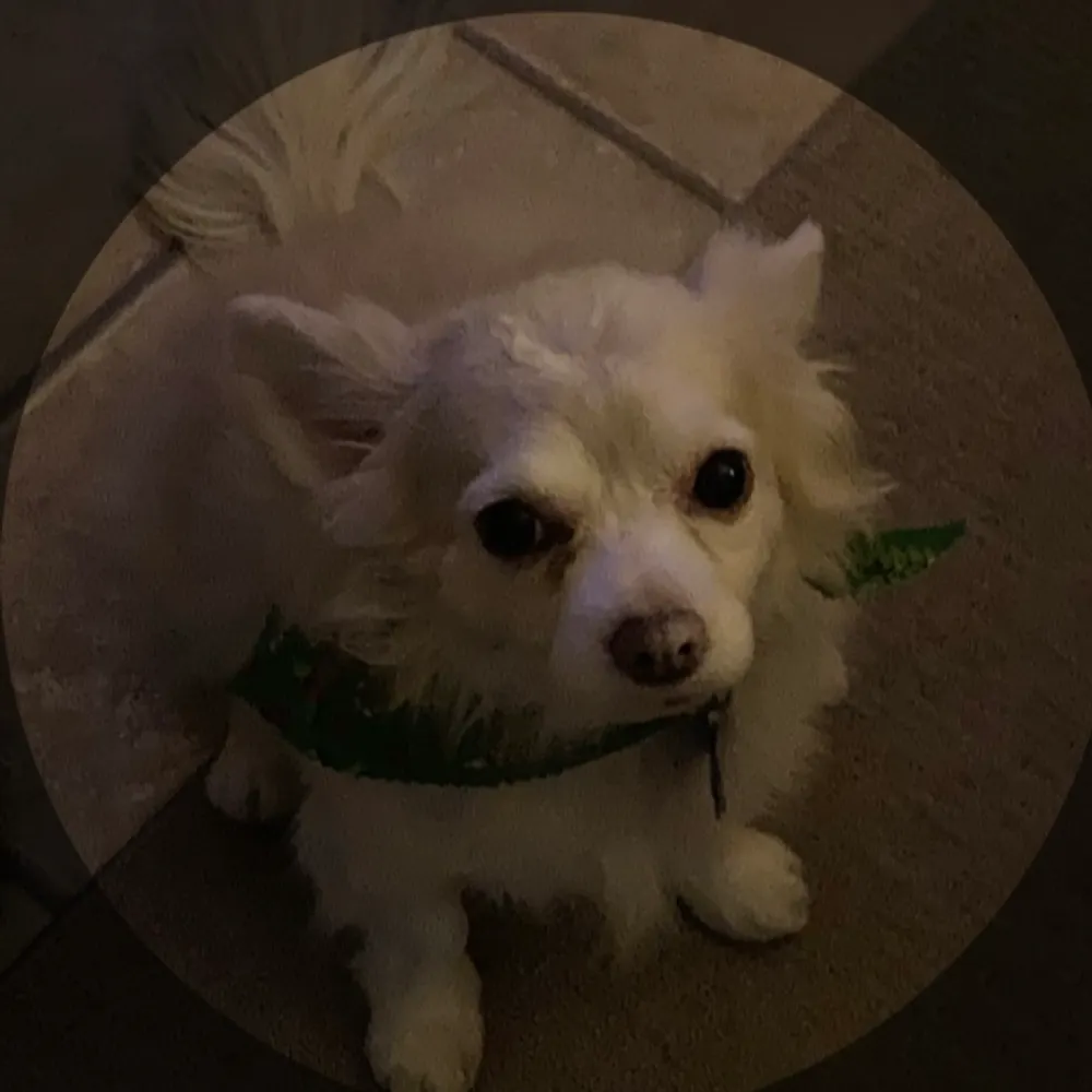 mrsjackshampton.bsky.social's profile picture