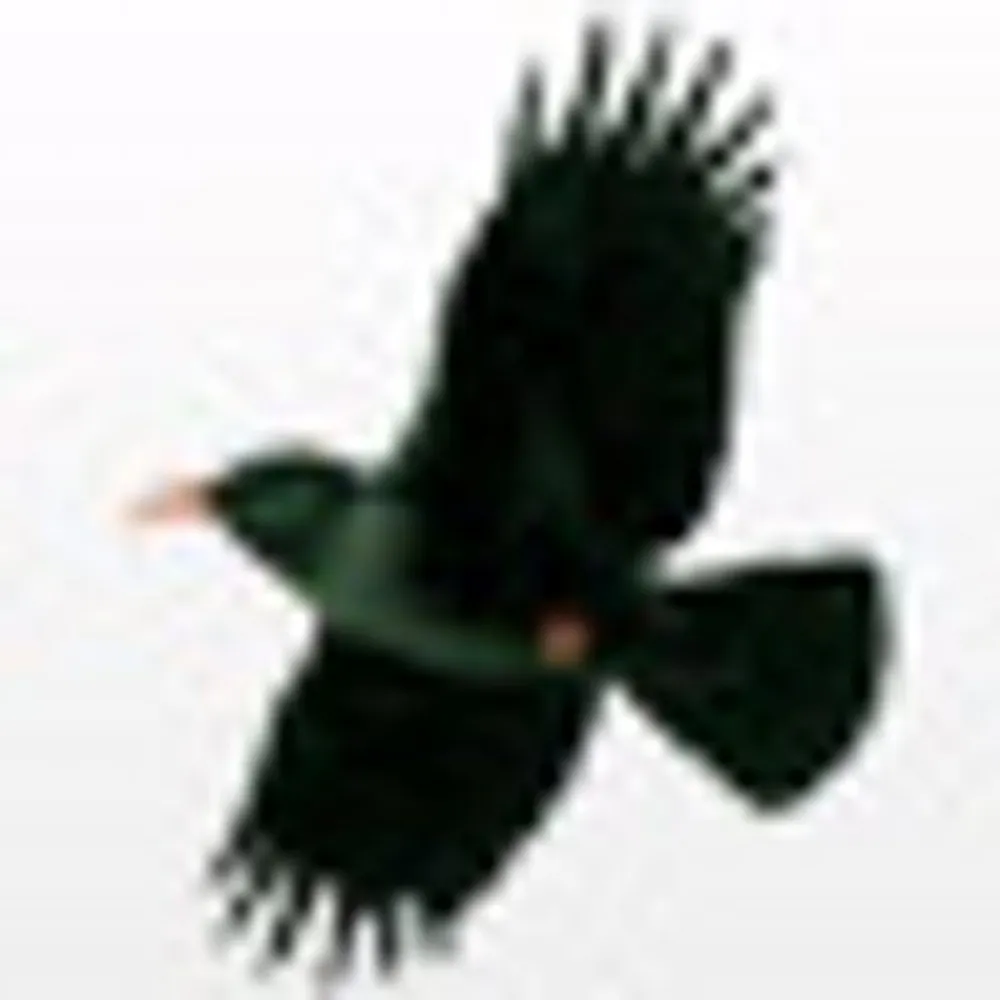 martinfff.bsky.social's profile picture