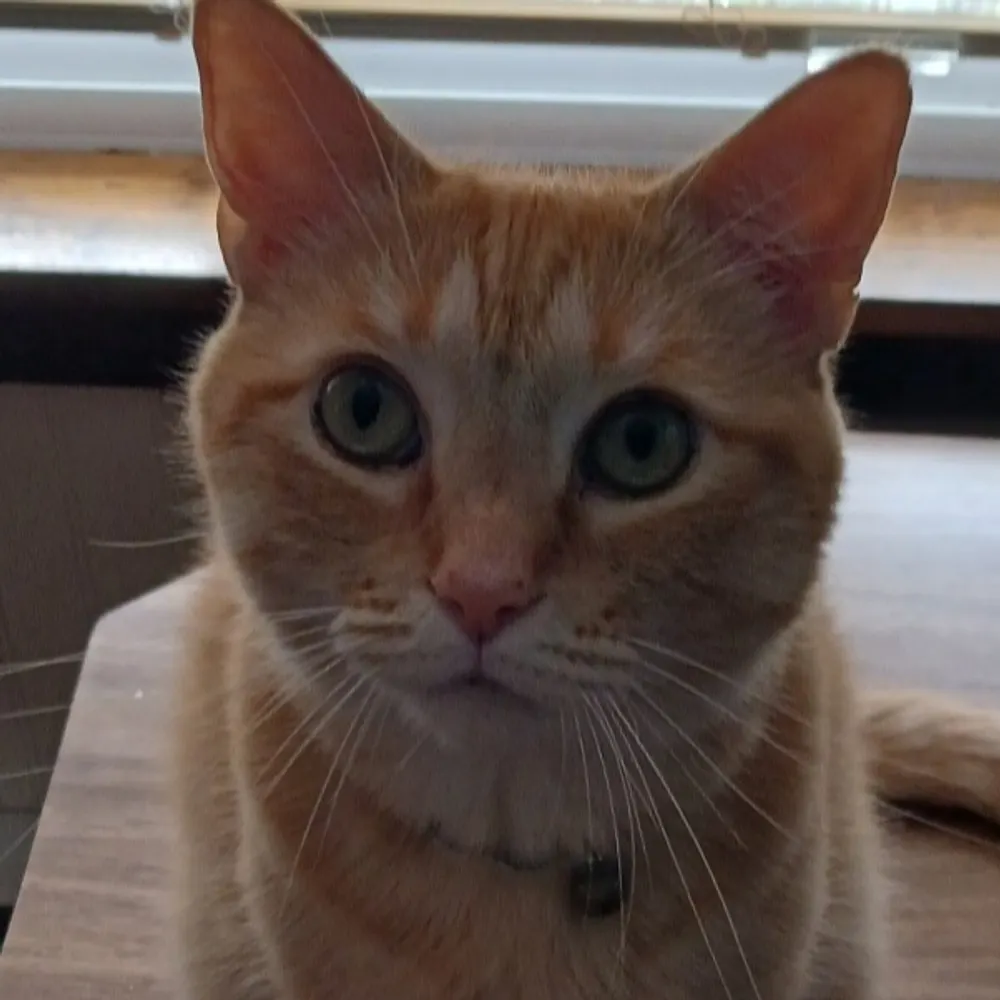 crj4189.bsky.social's profile picture