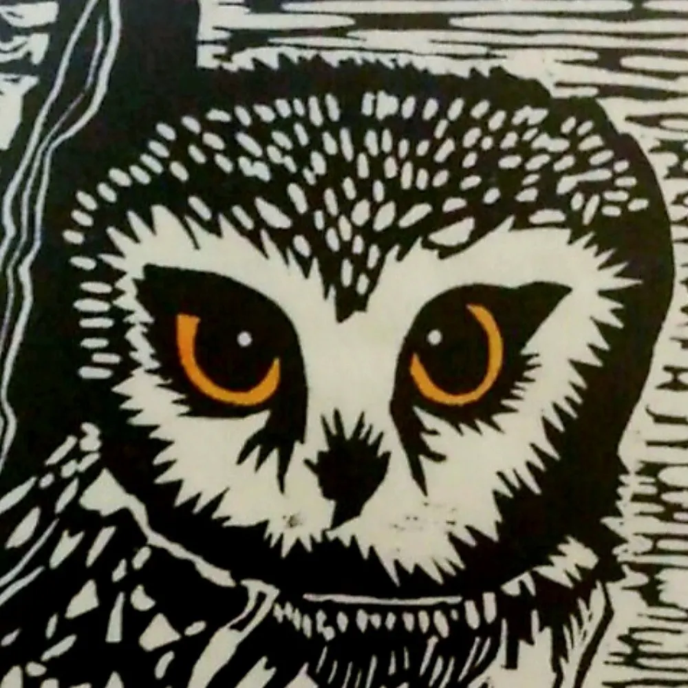 get-tuit.bsky.social's profile picture