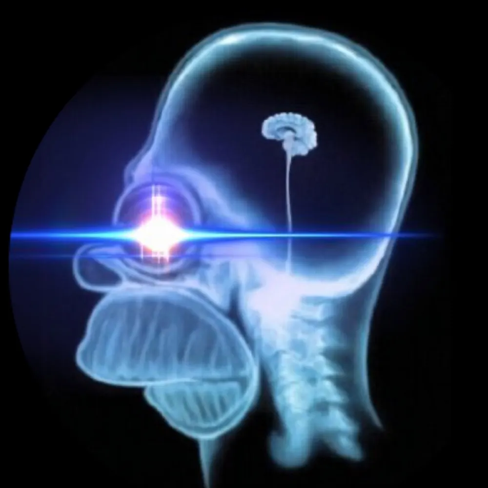 markelindsay.bsky.social's profile picture