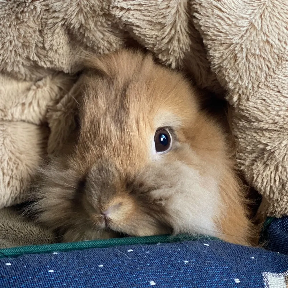 jsc98.bsky.social's profile picture