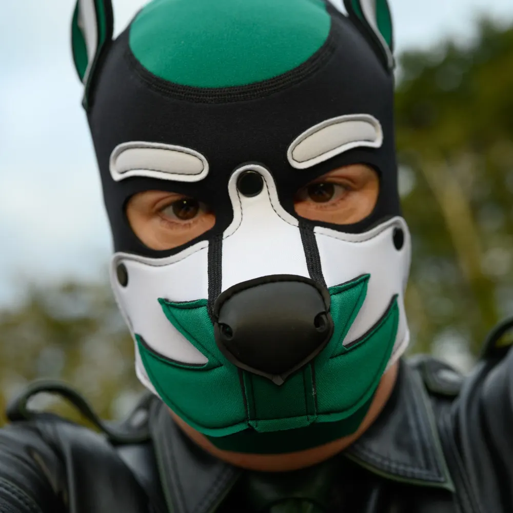 pacer.dog's profile picture