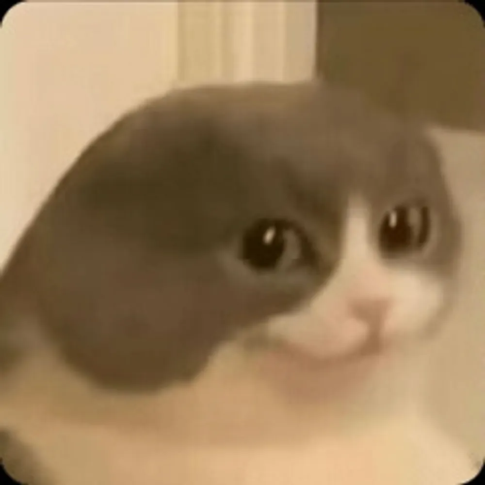 3motion3ngin3.bsky.social's profile picture