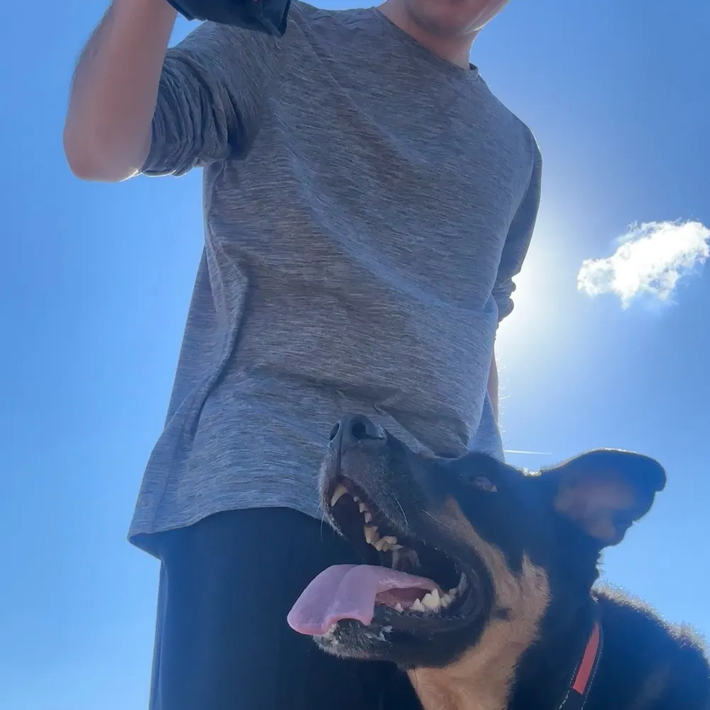 dogbrunch.bsky.social's profile picture