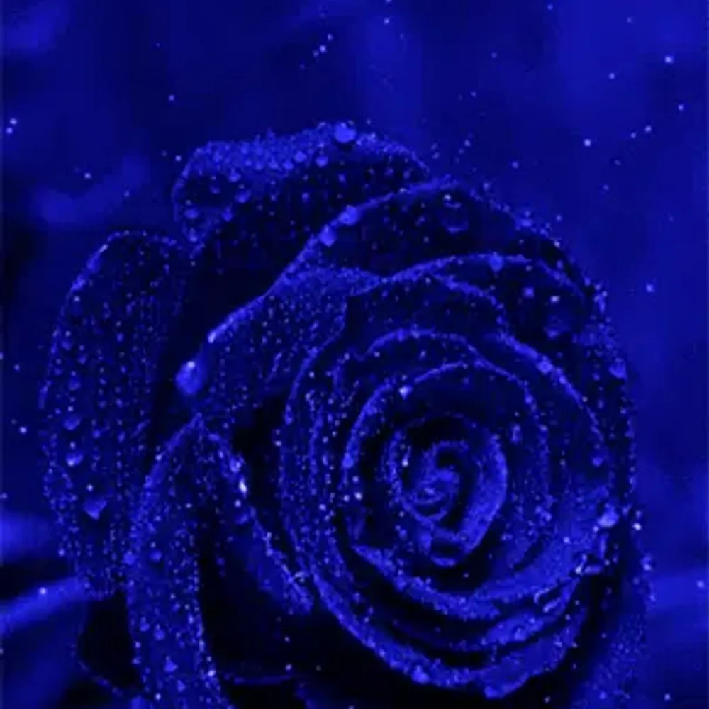 msfuturehope.bsky.social's profile picture