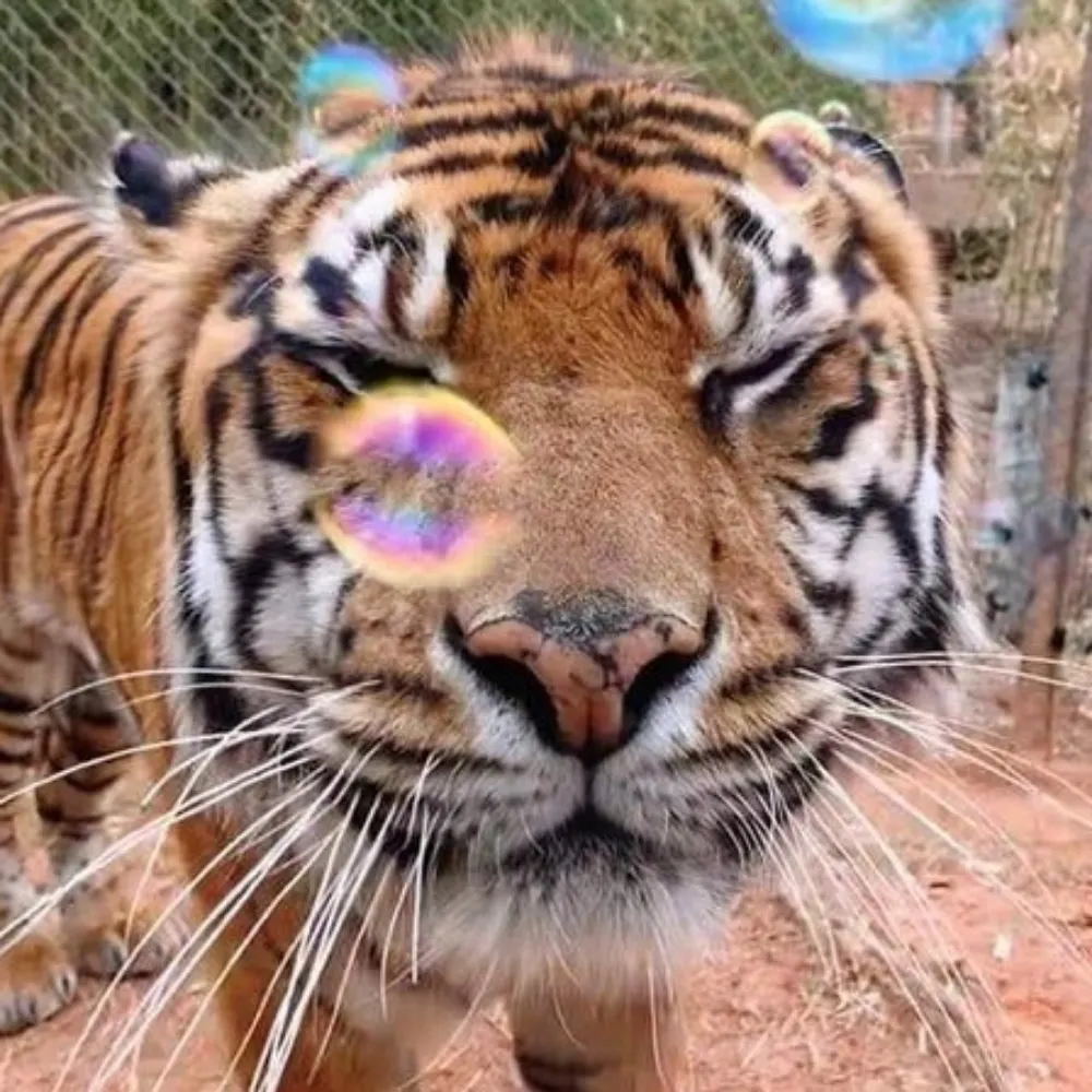 wun4.bsky.social's profile picture