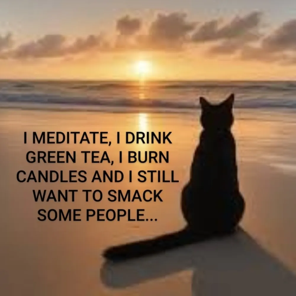 beachydreams.bsky.social's profile picture