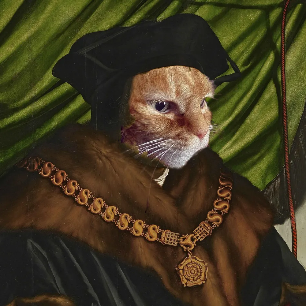 virtualtoad.bsky.social's profile picture