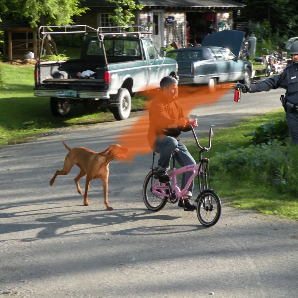 balupuppy.bsky.social's profile picture