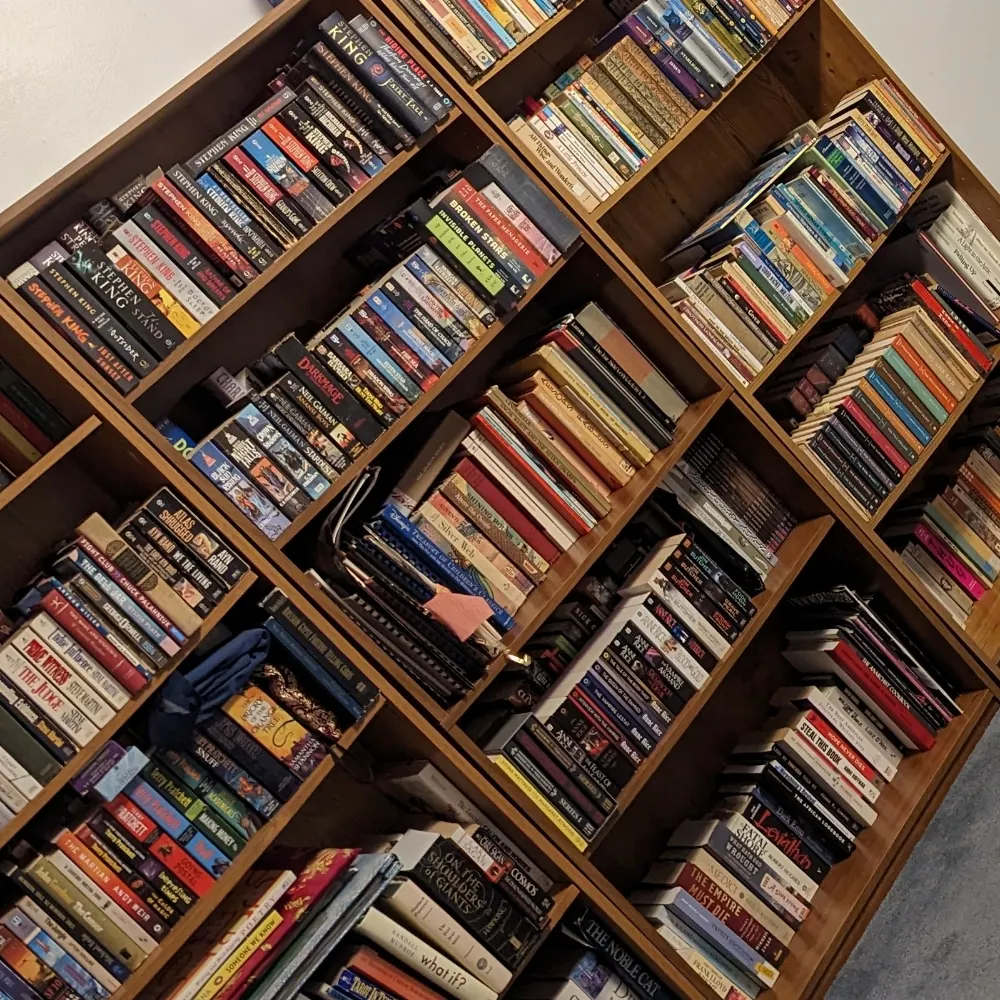 lyan-cat.bsky.social's profile picture