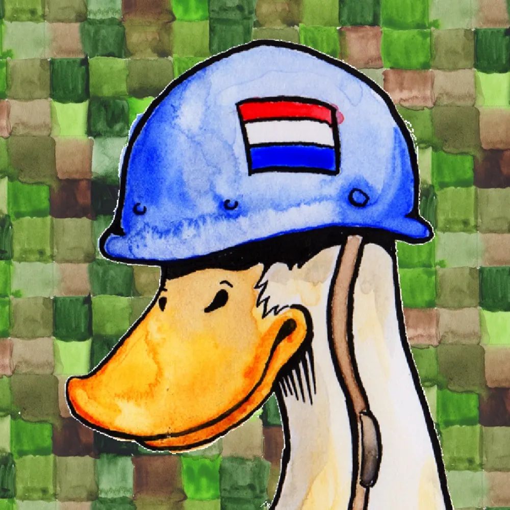 captainduck.bsky.social's profile picture