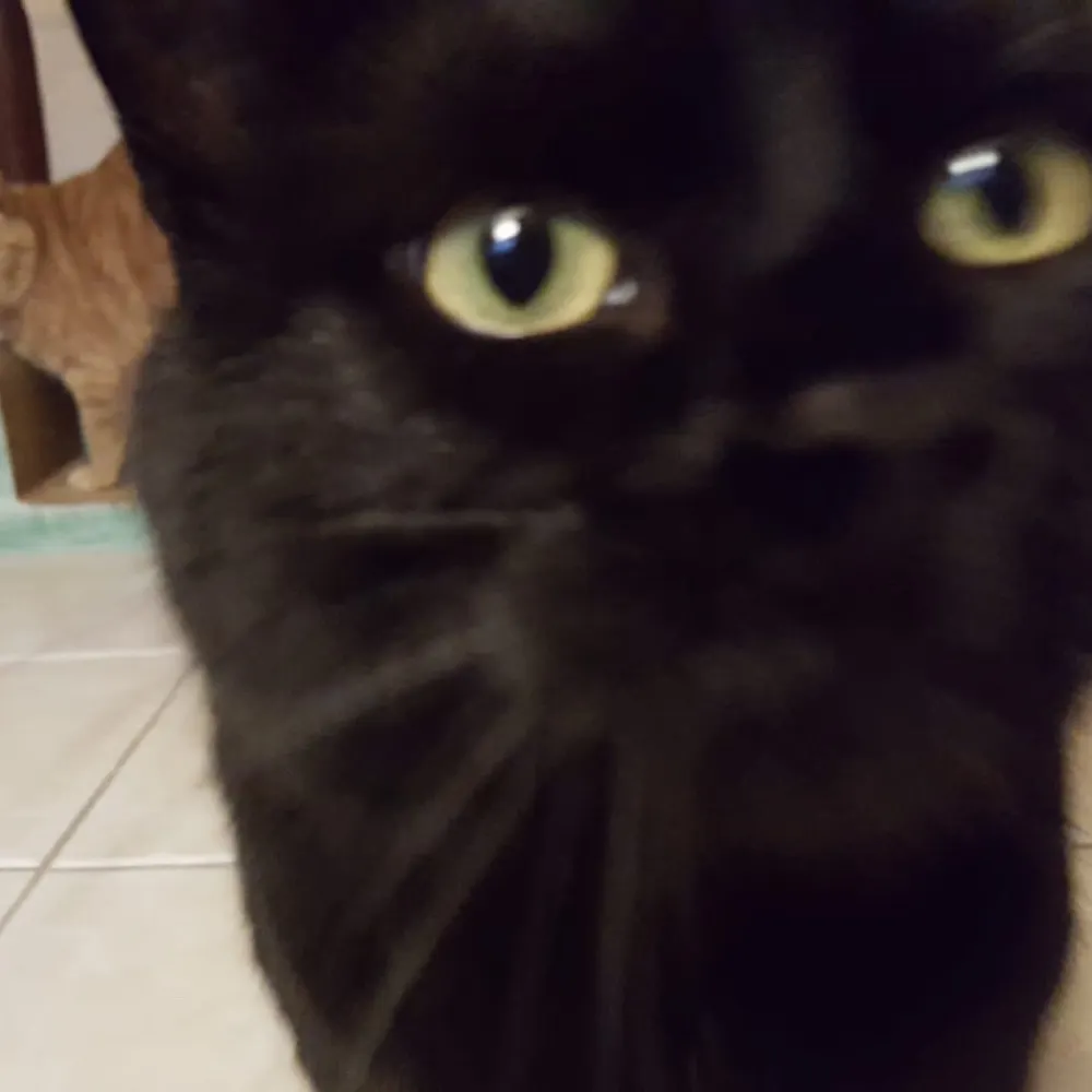 seamus24.bsky.social's profile picture