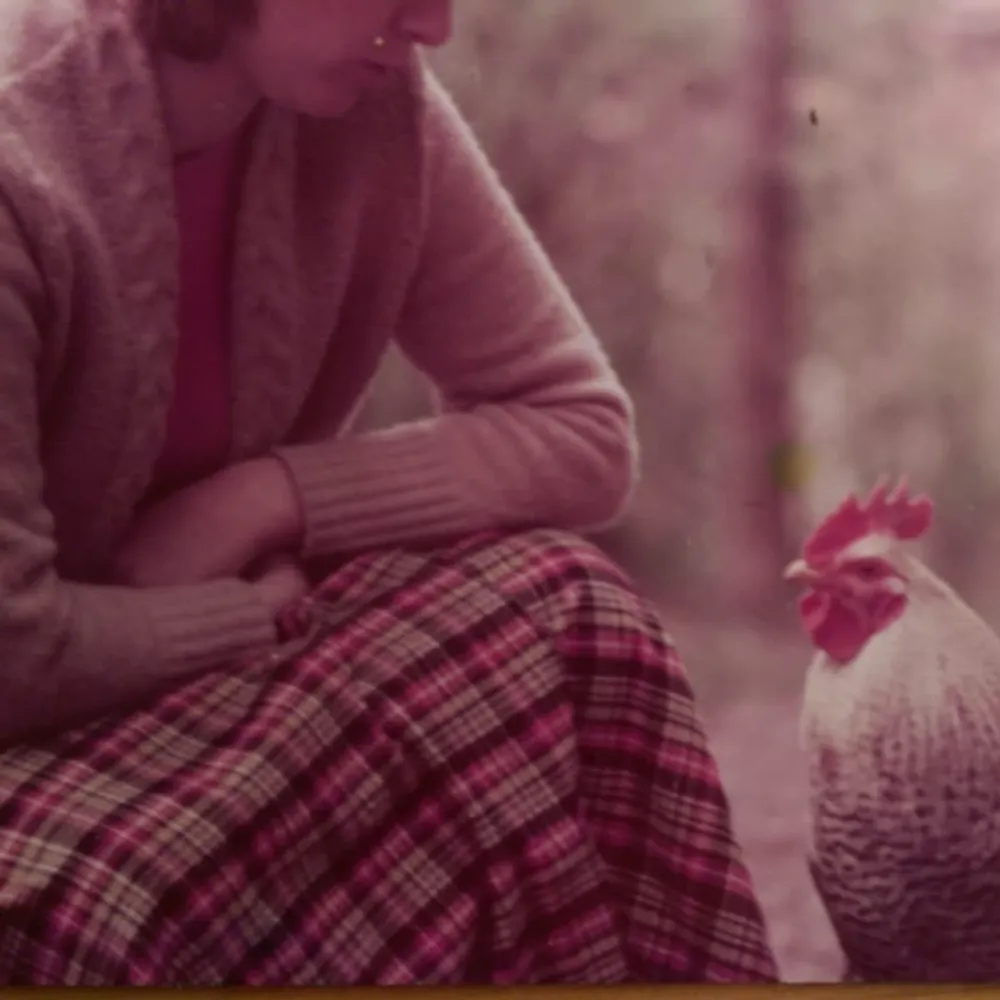 lesserspottedh.bsky.social's profile picture