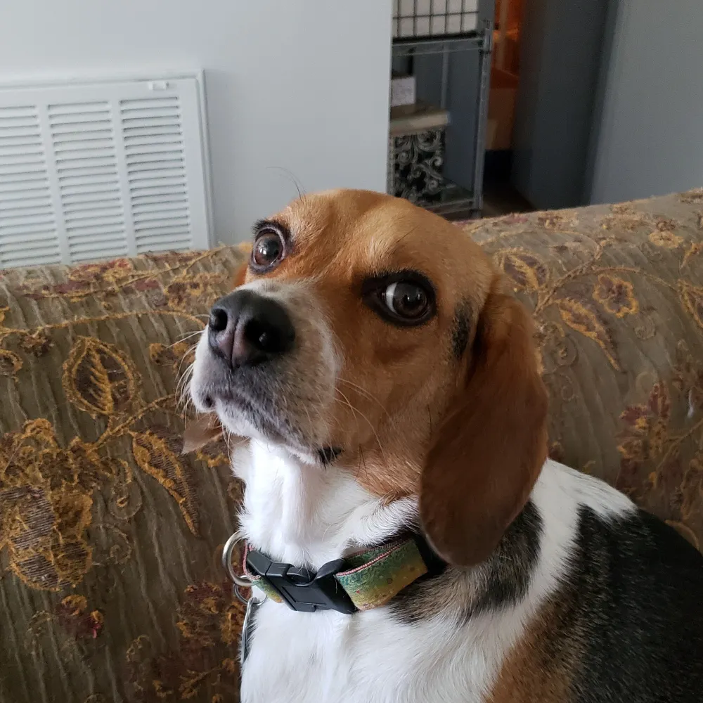 americananastasia.bsky.social's profile picture