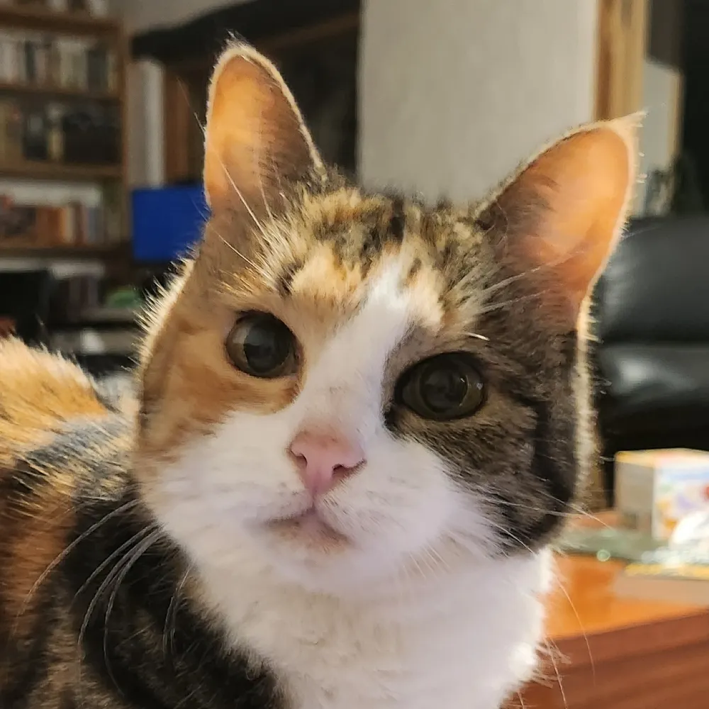 alibrookes.bsky.social's profile picture