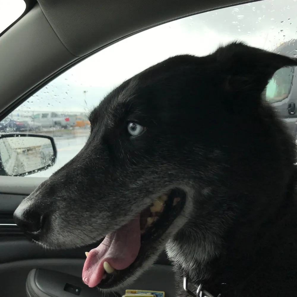 skepticalsenses.bsky.social's profile picture