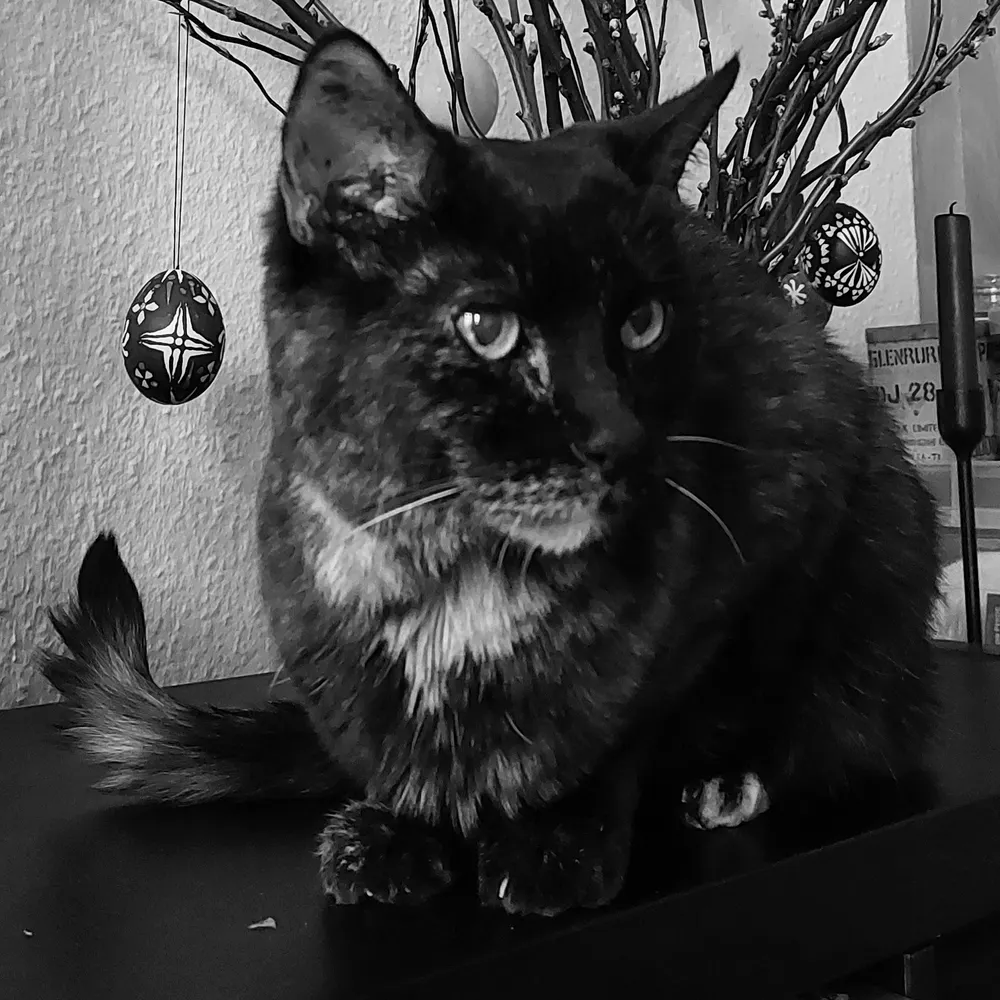 gigglelujia.bsky.social's profile picture