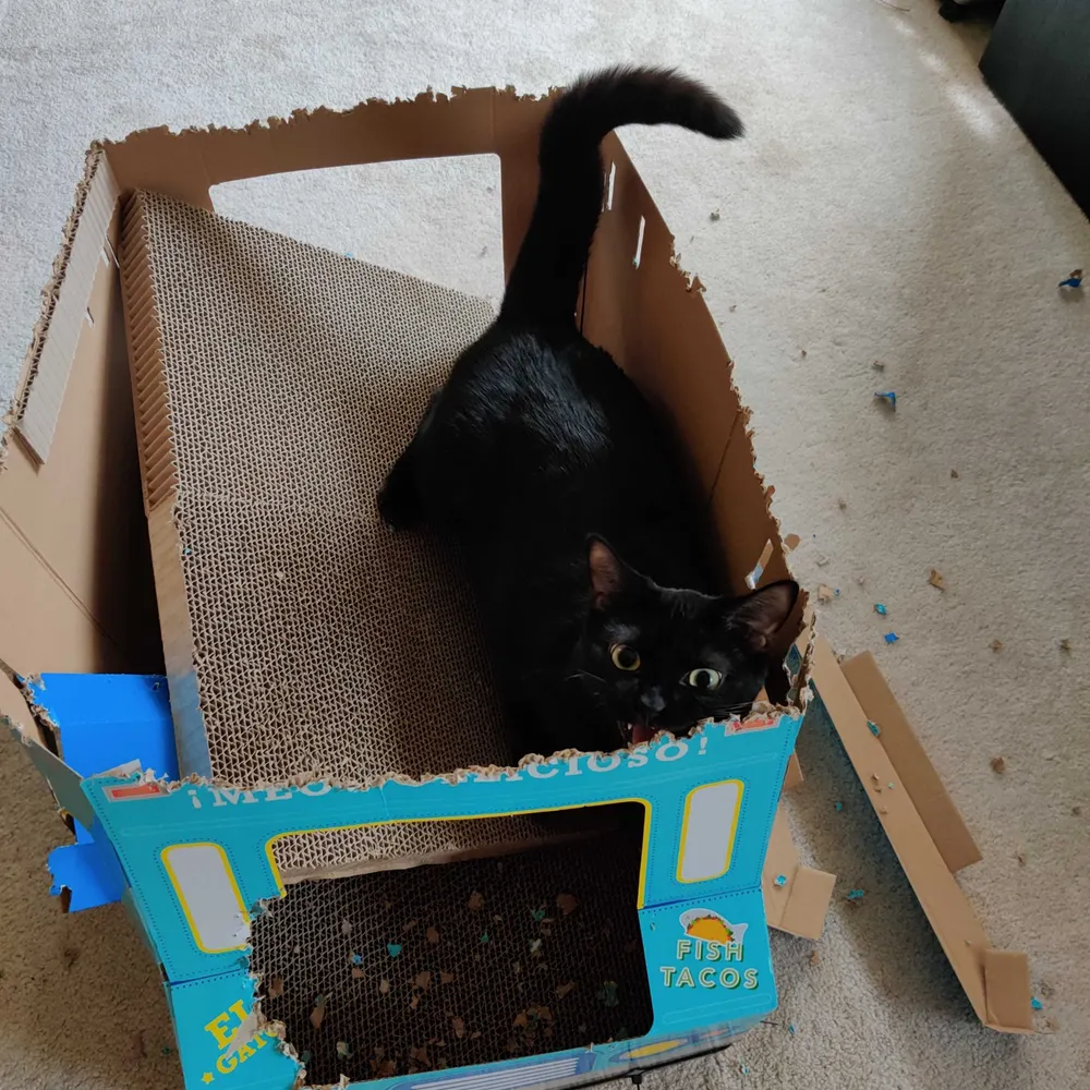 zachcoma.bsky.social's profile picture