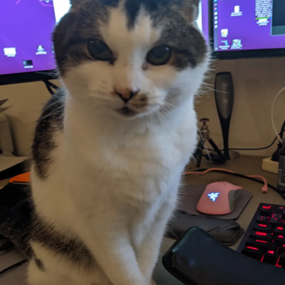 xtien.bsky.social's profile picture