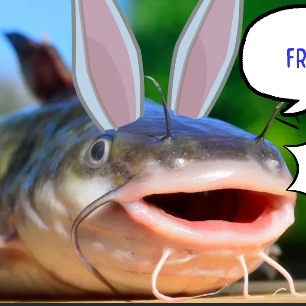 allukario.bsky.social's profile picture