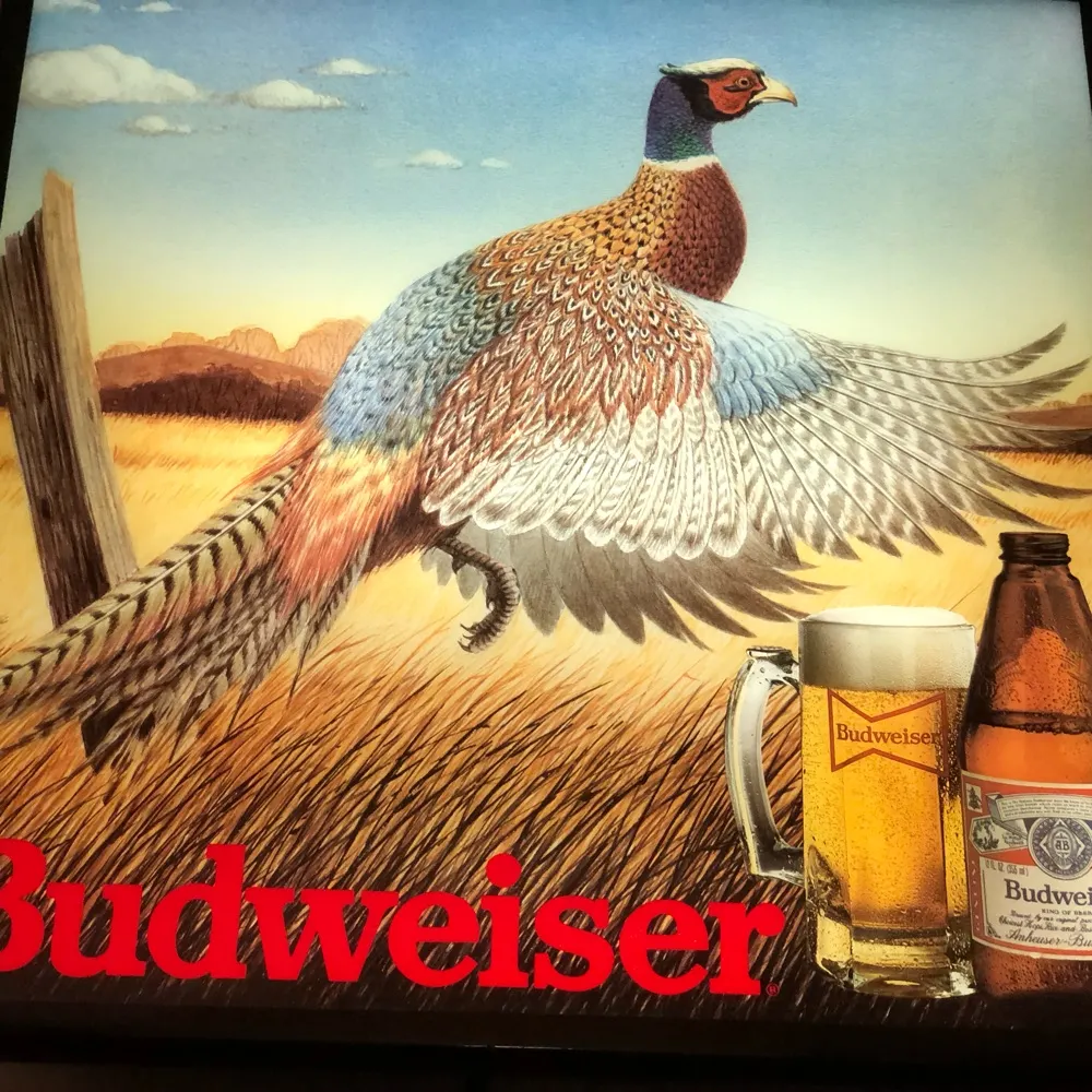 barkleytess.bsky.social's profile picture