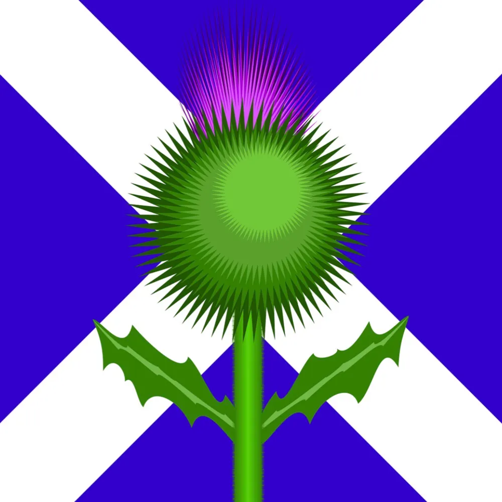 catalystcatalyst.bsky.social's profile picture