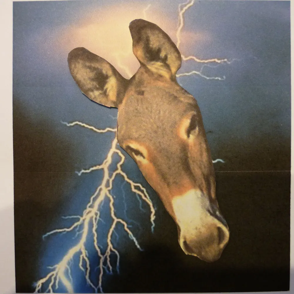 electricdonkey.me's profile picture