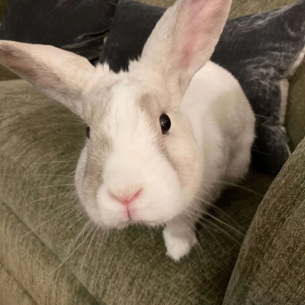 kathyincanada.bsky.social's profile picture