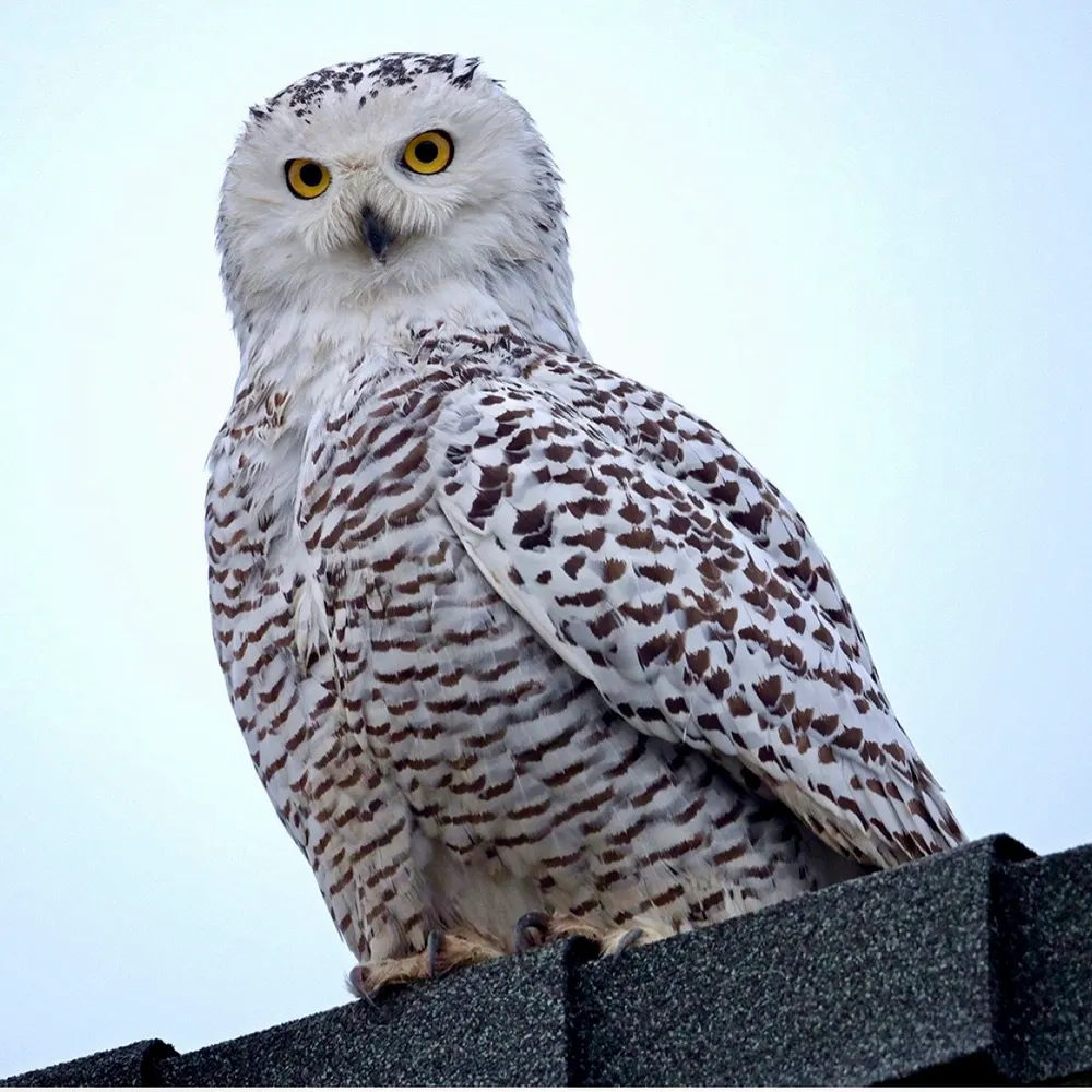 virginia98900230.bsky.social's profile picture