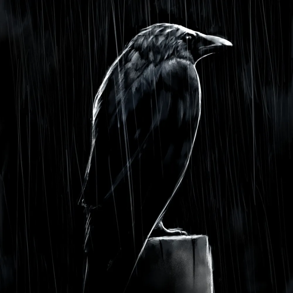 ronron8.bsky.social's profile picture