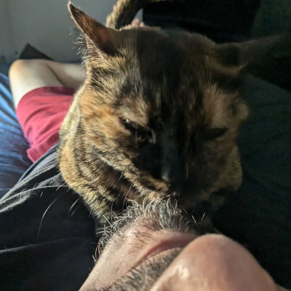 gallifreyknight.bsky.social's profile picture