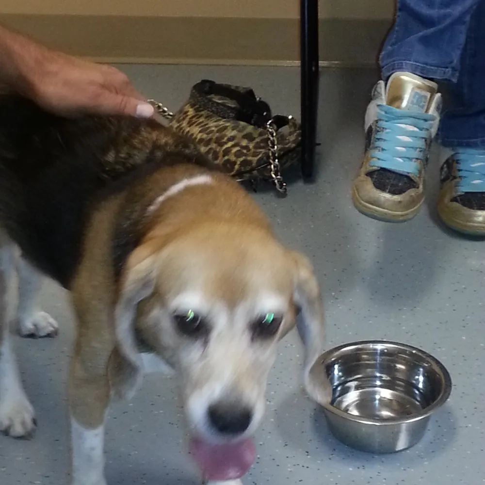 joelgrant.bsky.social's profile picture