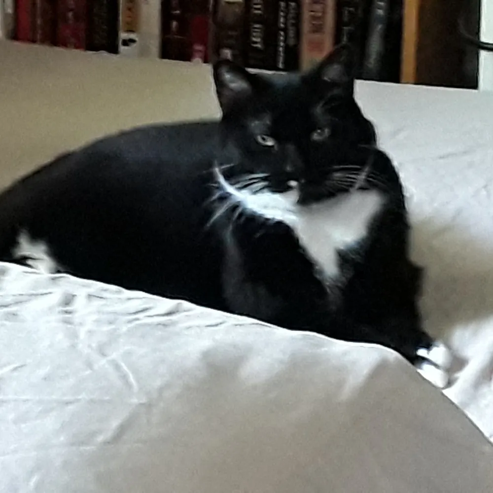 jlthornborrow.bsky.social's profile picture