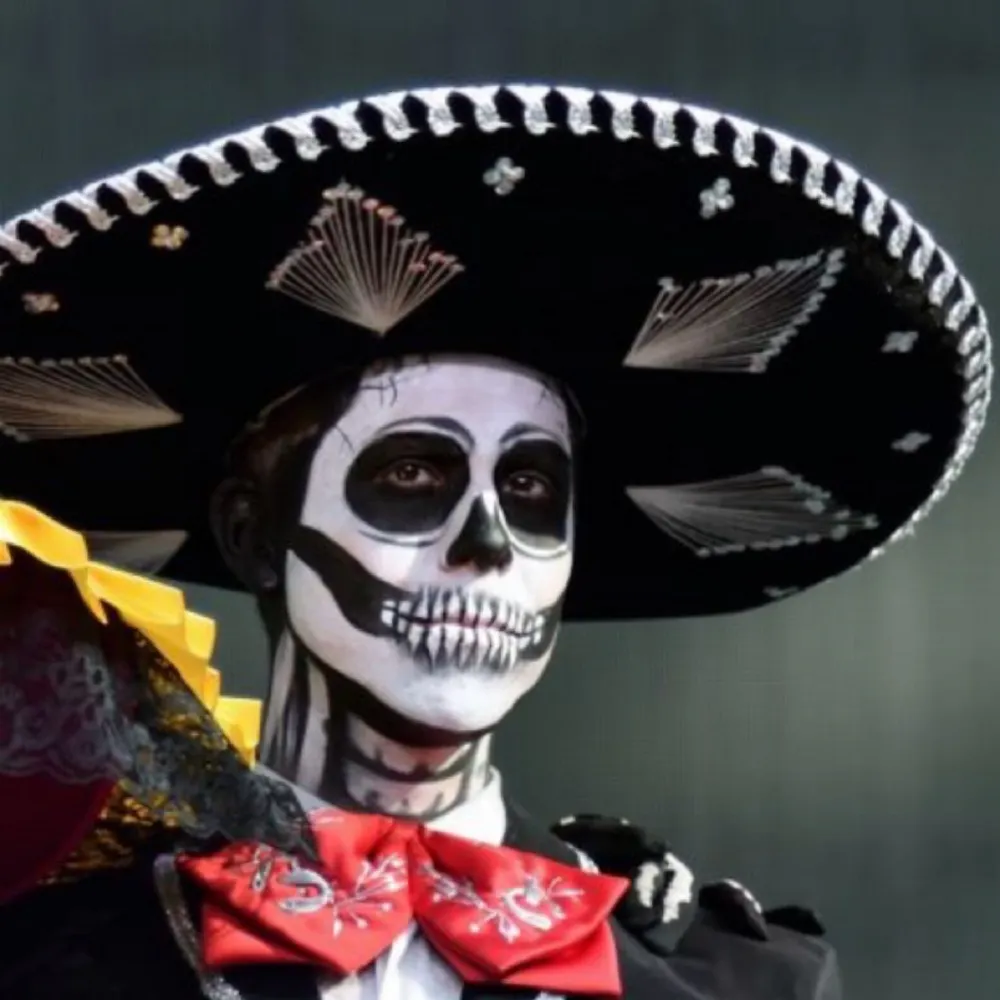 mexi-dutch.bsky.social's profile picture