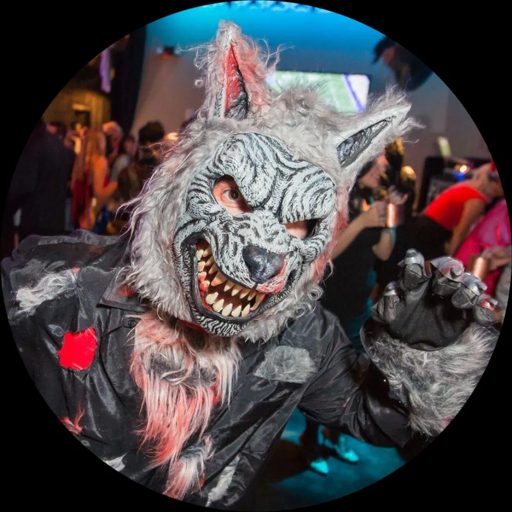 ihmiskoira.graysky.social's profile picture