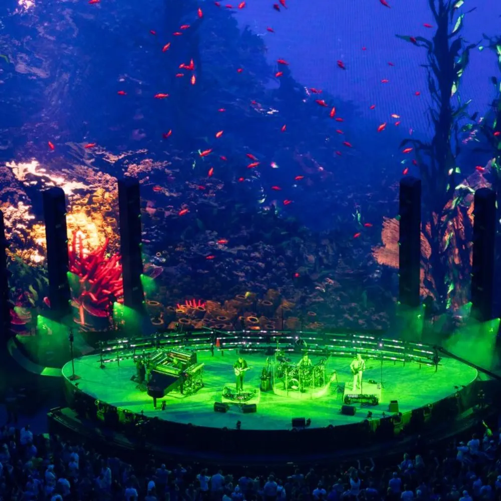 sniffit.bsky.social's profile picture