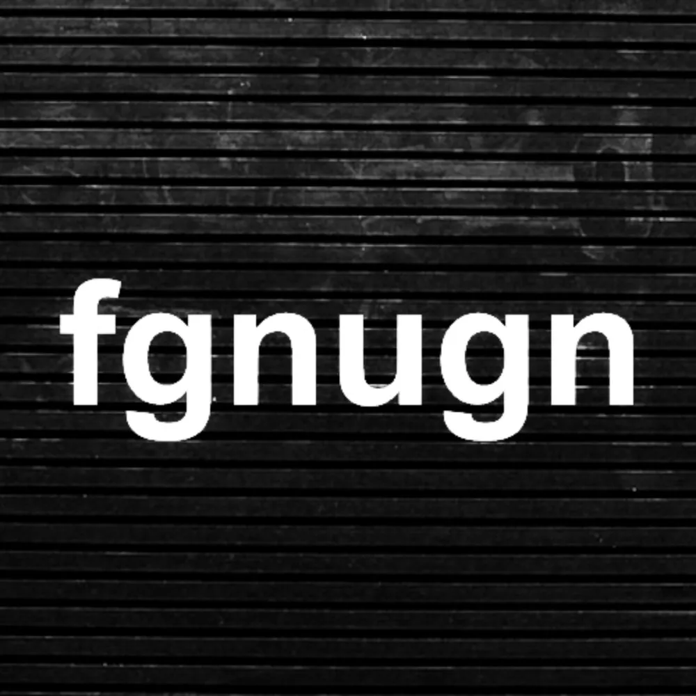 fgnugn.bsky.social's profile picture